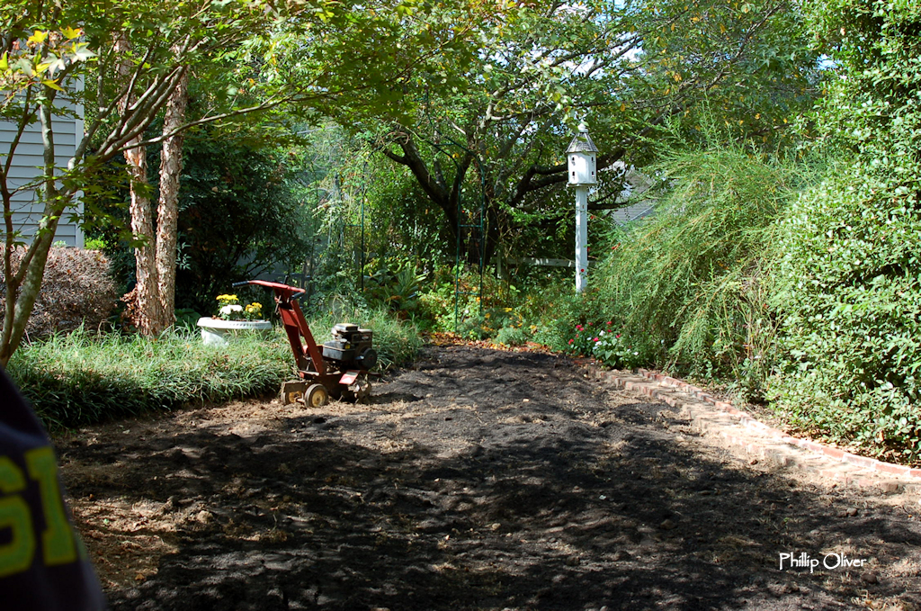 Lawn redo finishing up
