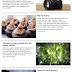 15 Essential Photography Tips for Beginners