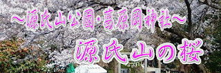 源氏山・葛原岡神社の桜