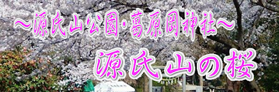 源氏山の桜～源氏山公園・葛原岡神社～