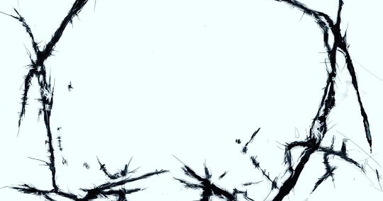 കാഴ്ചക്കാരി