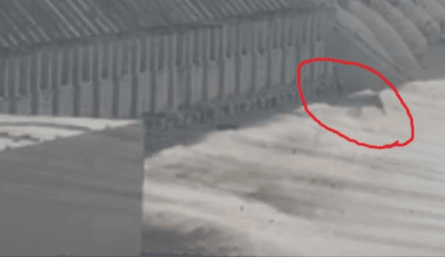ORDO News - Bloque se cae de la Represa Las Tres Gargantas en China