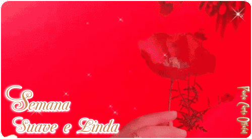 17111_29228a8be302a0537bf2eaf2ed773a1016