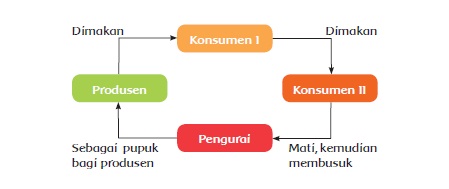 tema 5 kelas 5 subtema 2 pembelajaran 1