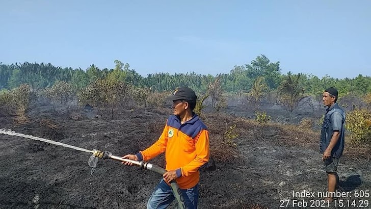 1,2 hektar Lahan Perkuban Kelapa Hibrida terbakar 