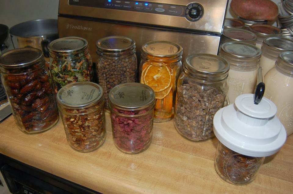 Perky Prepping Gramma Dehydrating, Vacuum Sealing Oranges & a Tasty Treat
