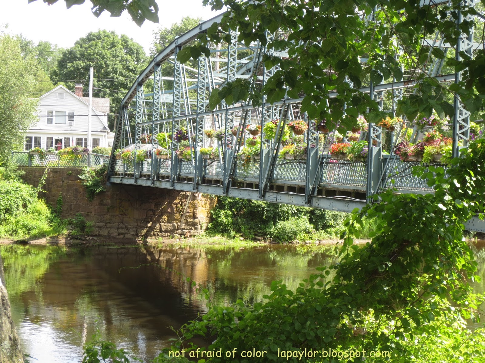Not Afraid of Color Bridge of Flowers