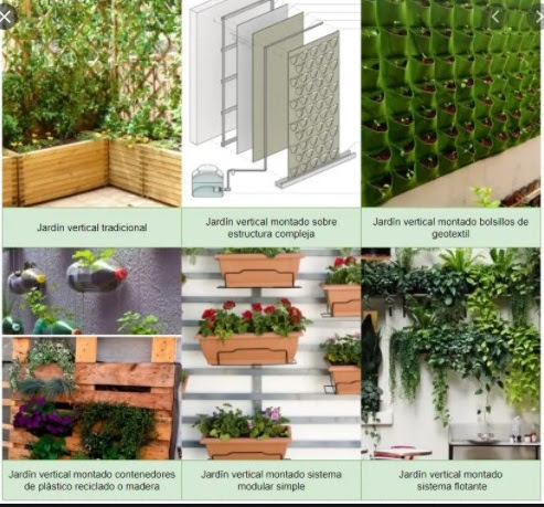 Jardines Verticales: Estructuras de jardines verticales