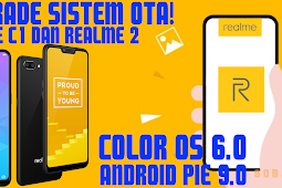 Cara Update Sistem Android 9 Color OS 6 di Realme C1 dan Realme 2
