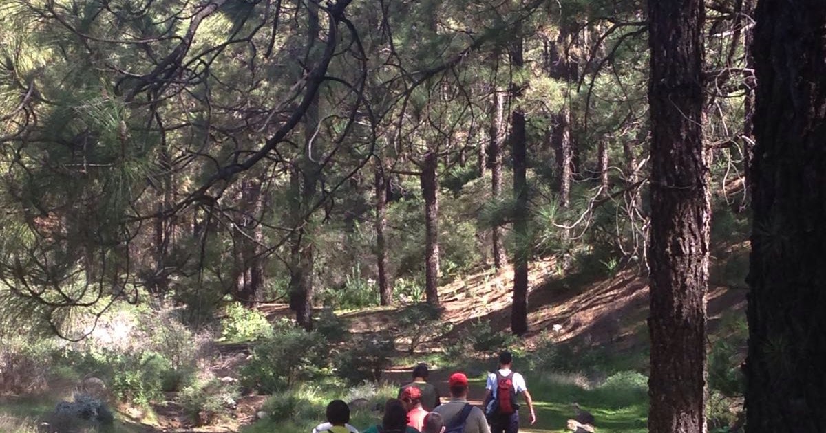 Ruta circular en la zona recreativa de los Llanos de La Pez. Centro Ocupacional Civitas