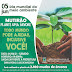 SÃO SEBASTIÃO DA AMOREIRA - PREFEITURA VAI PLANTAR 2.100 MUDAS DE ÁRVORES EM COMEMORAÇÃO AO DIA MUNDIAL DO MEIO AMBIENTE