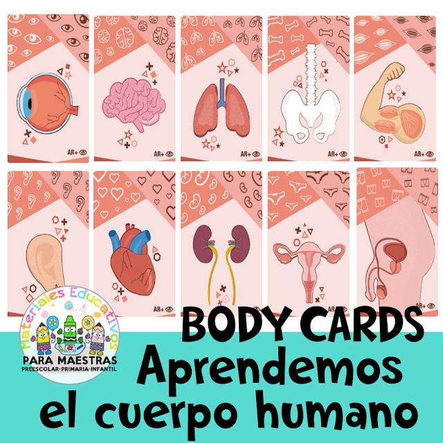 body-cards-tarjetas-aprender-cuerpo-humano