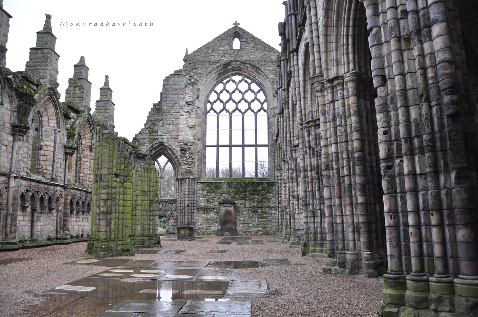 Life Is Beautiful Palace of Holyrood in Edinburgh