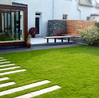 Firmax, tu portal inmobiliario: Consejos para cuidar el césped