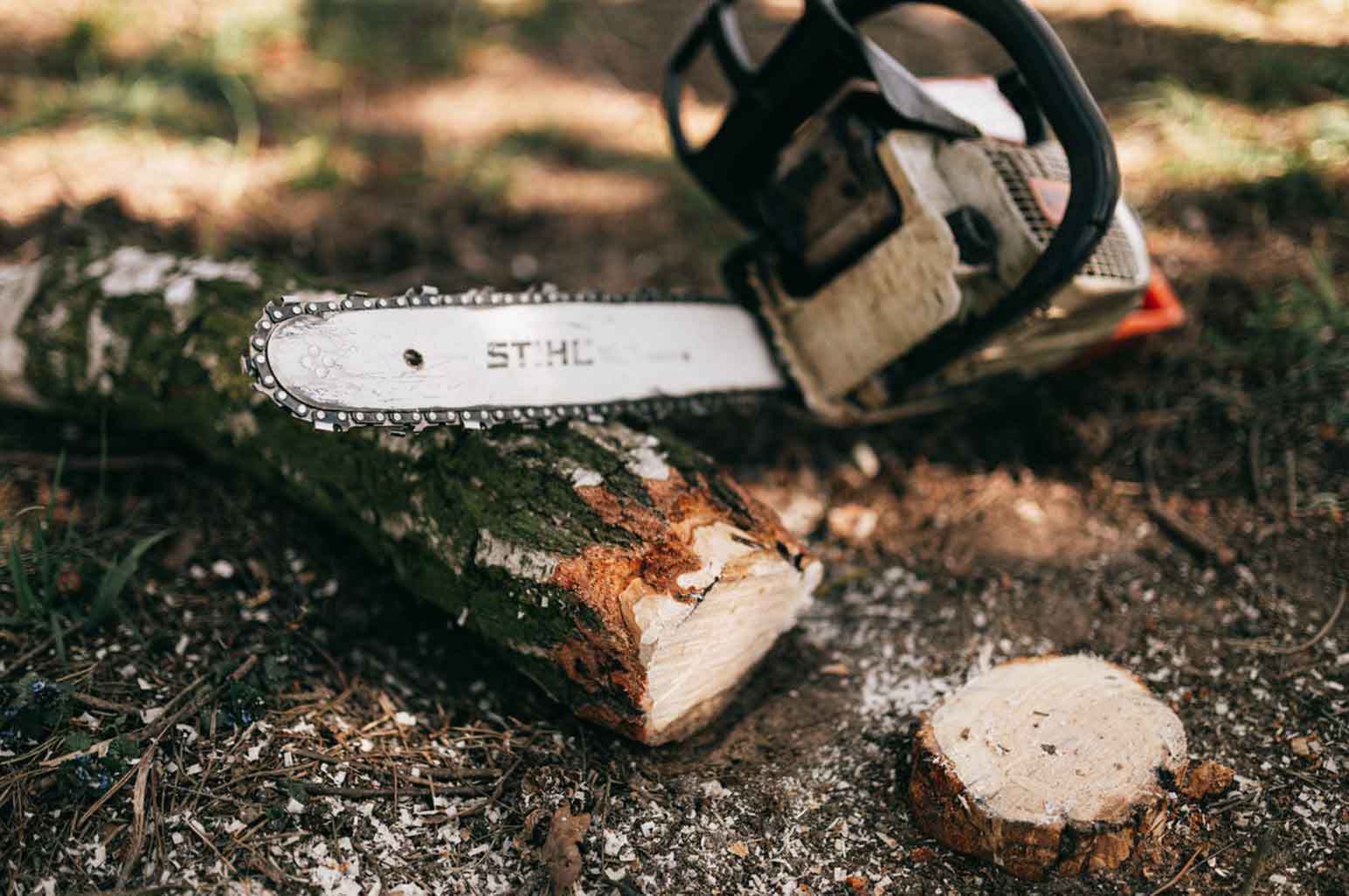 Things to Consider Before Buying a Chainsaw