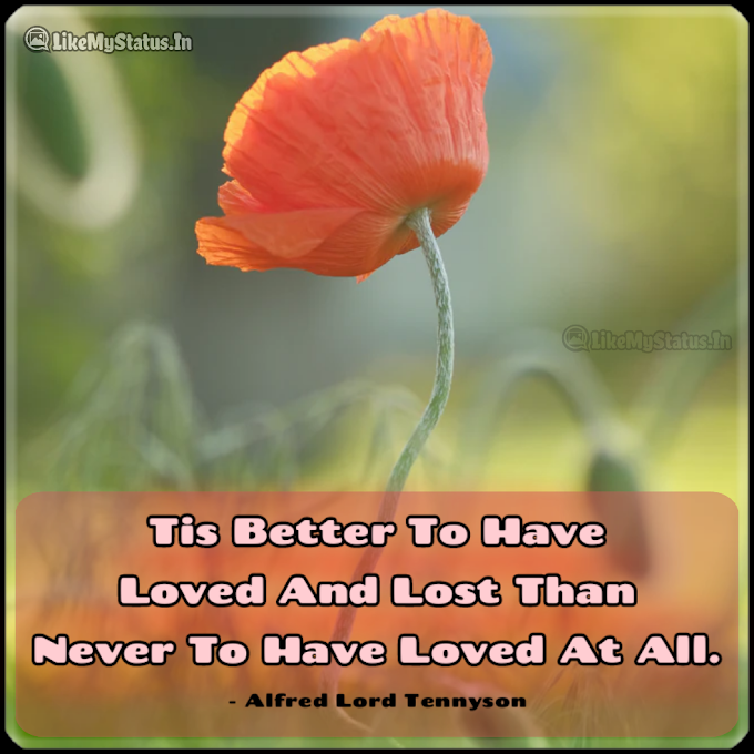 Tis Better To Have Loved... English Love Quote...
