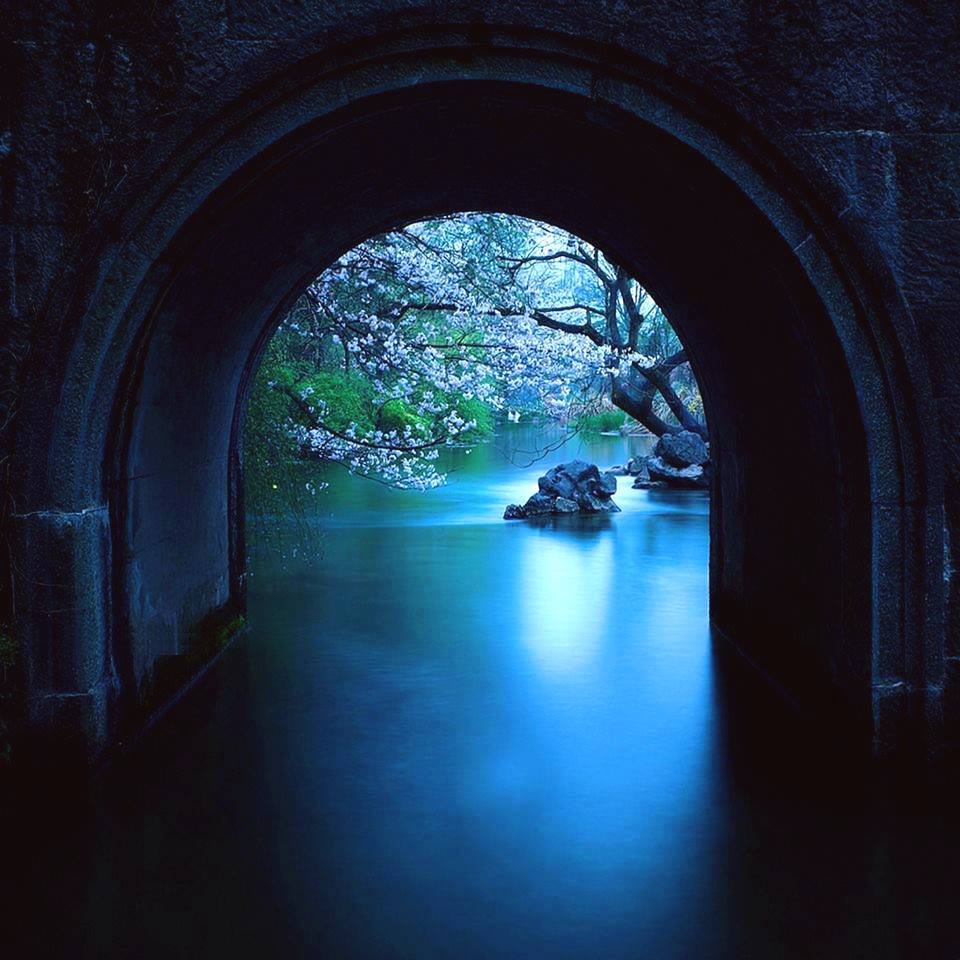 Ten Trillion and Counting Watch S27 E9 FRONTLINE PBS