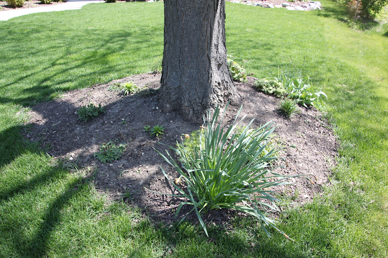 my best friend craig RETAINING WALL AROUND A TREE