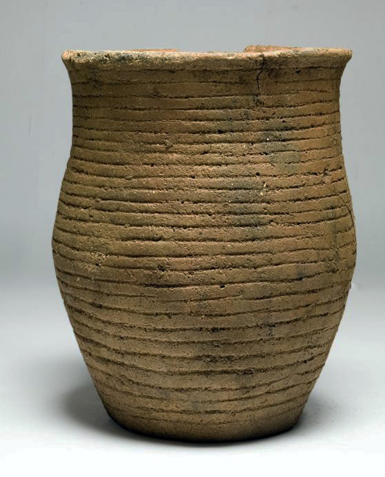 O LIVRO DE AREIA Os Yamnaya e a Cultura da 'Cerâmica Cordada' cavalos