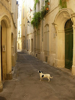 Guia de Roma em Dordogne, França! montpellier a.zamboni - Guia de Roma em Dordogne, França!