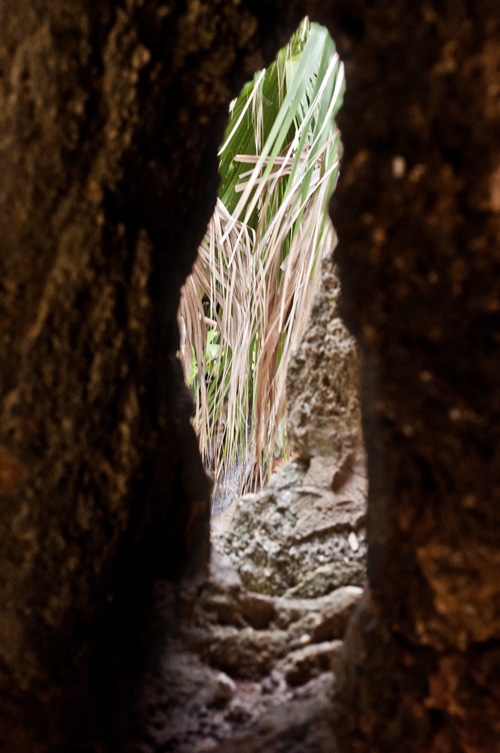 claustrofobia3.jpg