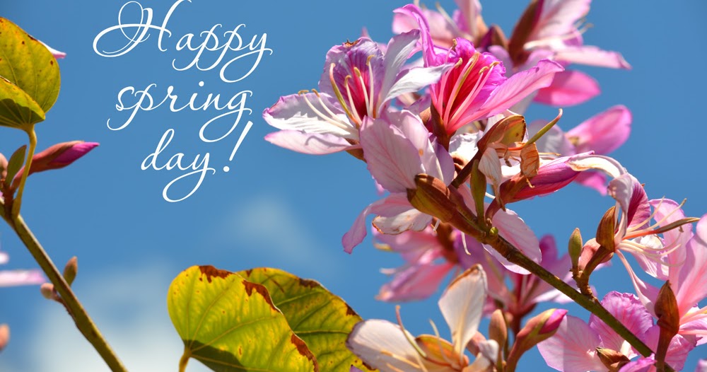 StefStyle: Happy Spring Day!