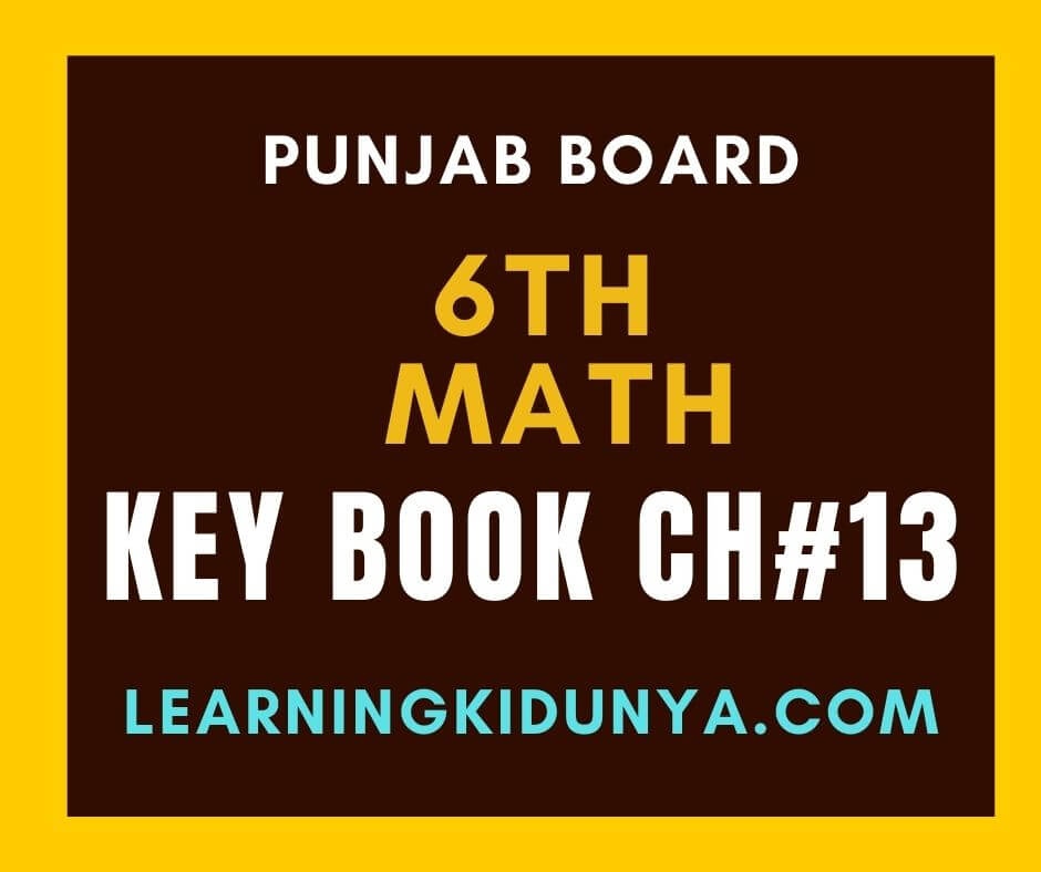 6th Class Math Solved Exercise Chapter No 13 in pdf