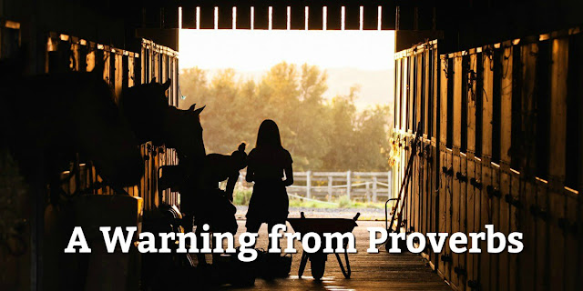 Proverbs 14:4 has an interesting application in ministry, race relations, and life. Enjoy this explanation of this proverb about empty stables.