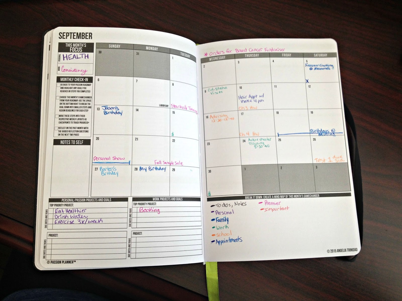 Southern Girl in the Real World Passion Planner Review
