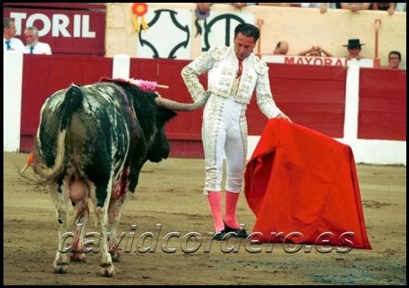 Taller De Toros: La Mirada Del Toro