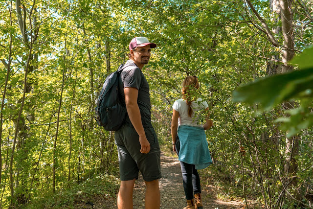 Ringwanderweg Bad Harzburg | Ausgedehnte Wanderung um die schöne Stadt im Harz 05