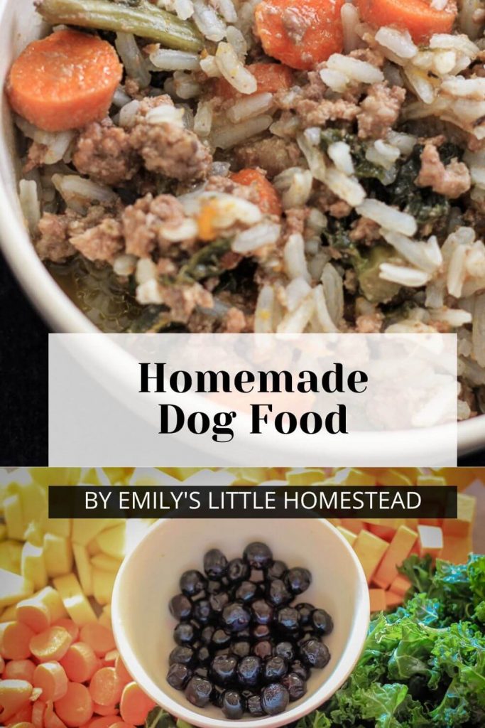 Top 10 DIY Homemade Dog Food Recipes