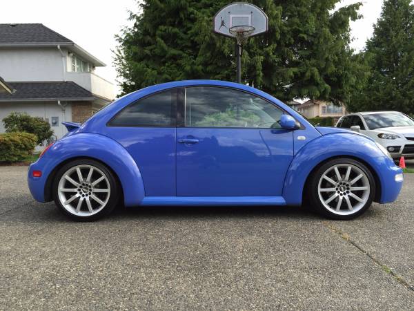 Beetle 2001