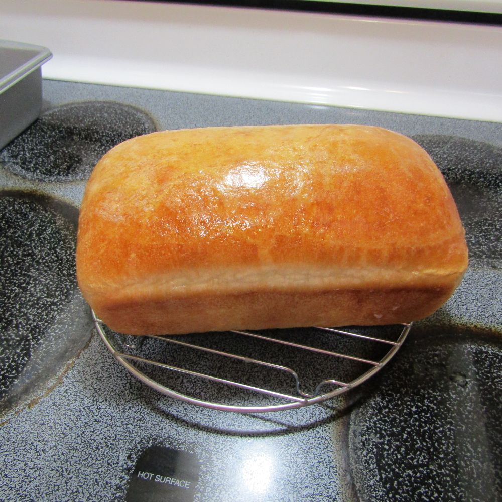 Fresh Baked Bread from Frozen Bread Dough Review