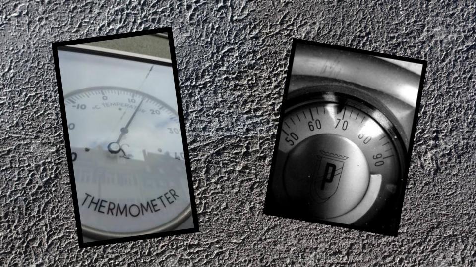 Life Support System Thermometer or Thermostat Which Will You Be?