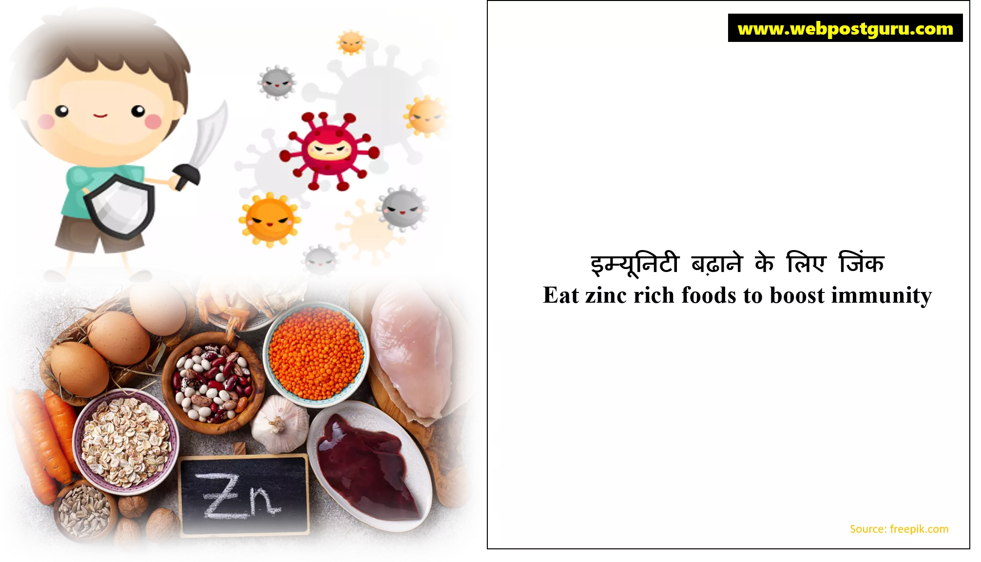 Zinc rich foods for immunity in Hindi