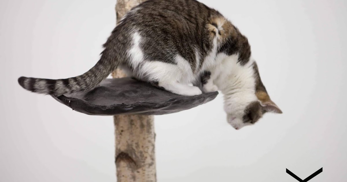 The Life Illustration From Will Eisner S City Portfolio