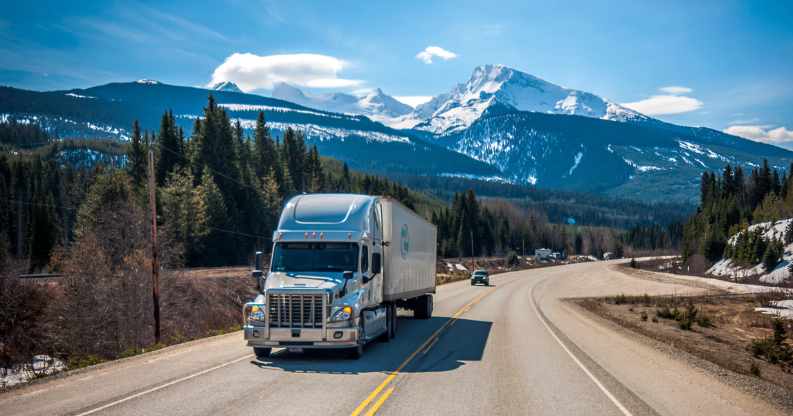 What are the different types of truck drivers?