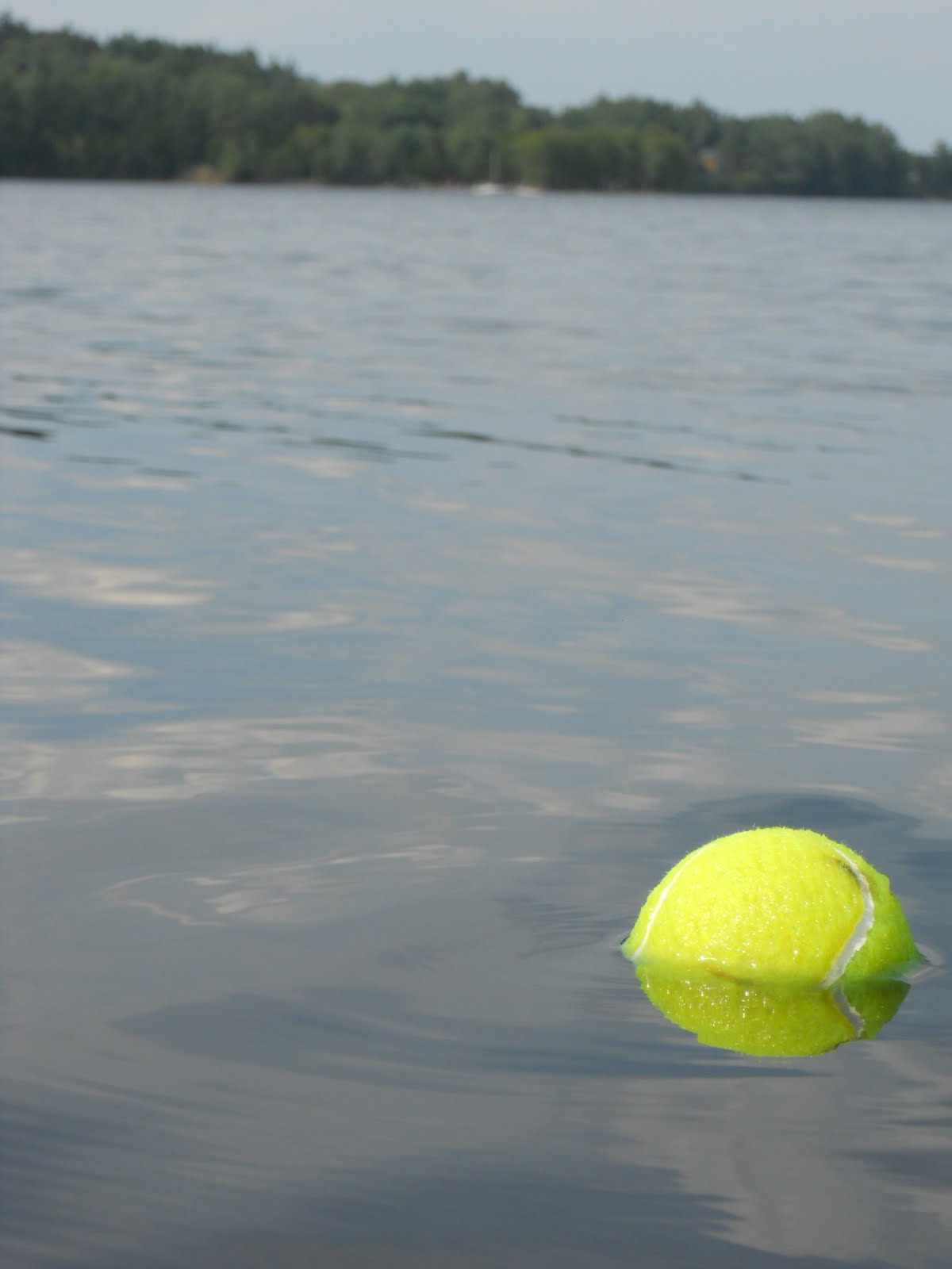 Tennis Ball Knot Meter for Sailboats Terraferma Sailors