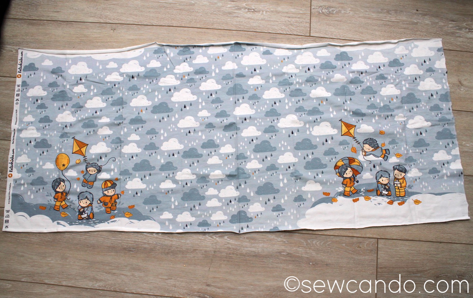 Sew Can Do Sewing with Fabric Rapports + NoIron Applique Technique