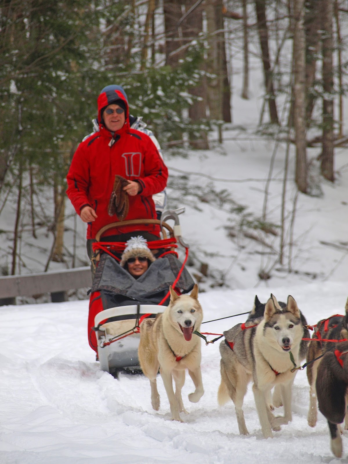 Five More Ways To Enjoy The Parks In Winter