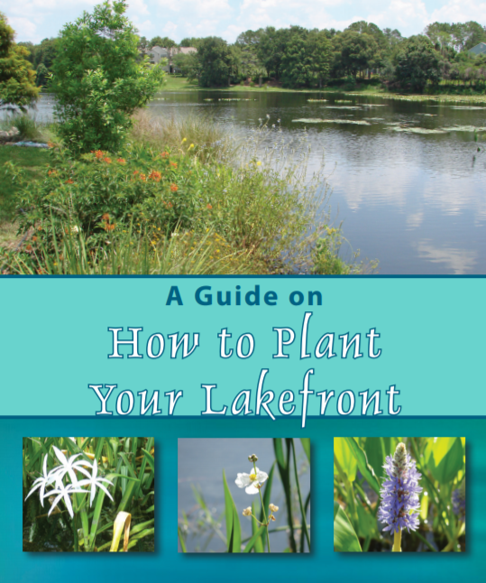 BirdsLWR Lakewood Ranch, Florida (and a few other places) How to