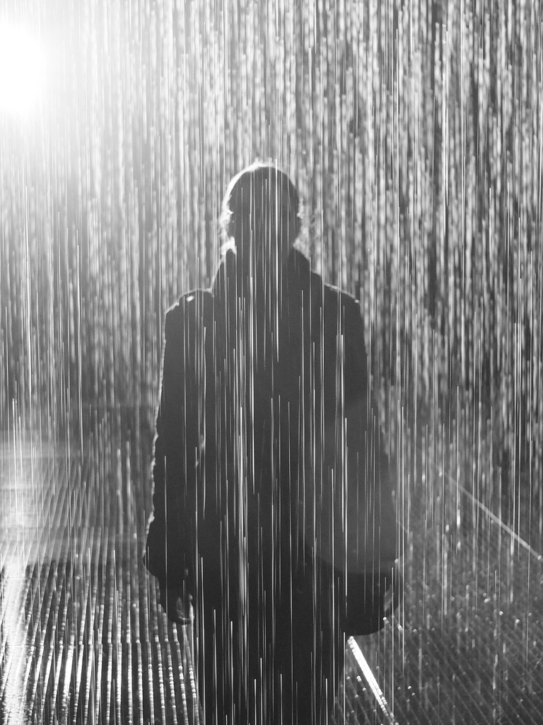 Living Stones An Umbrella in the Rain