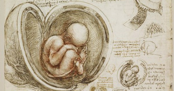 A Rare Glimpse of Leonardo da Vinci’s Anatomical Drawings