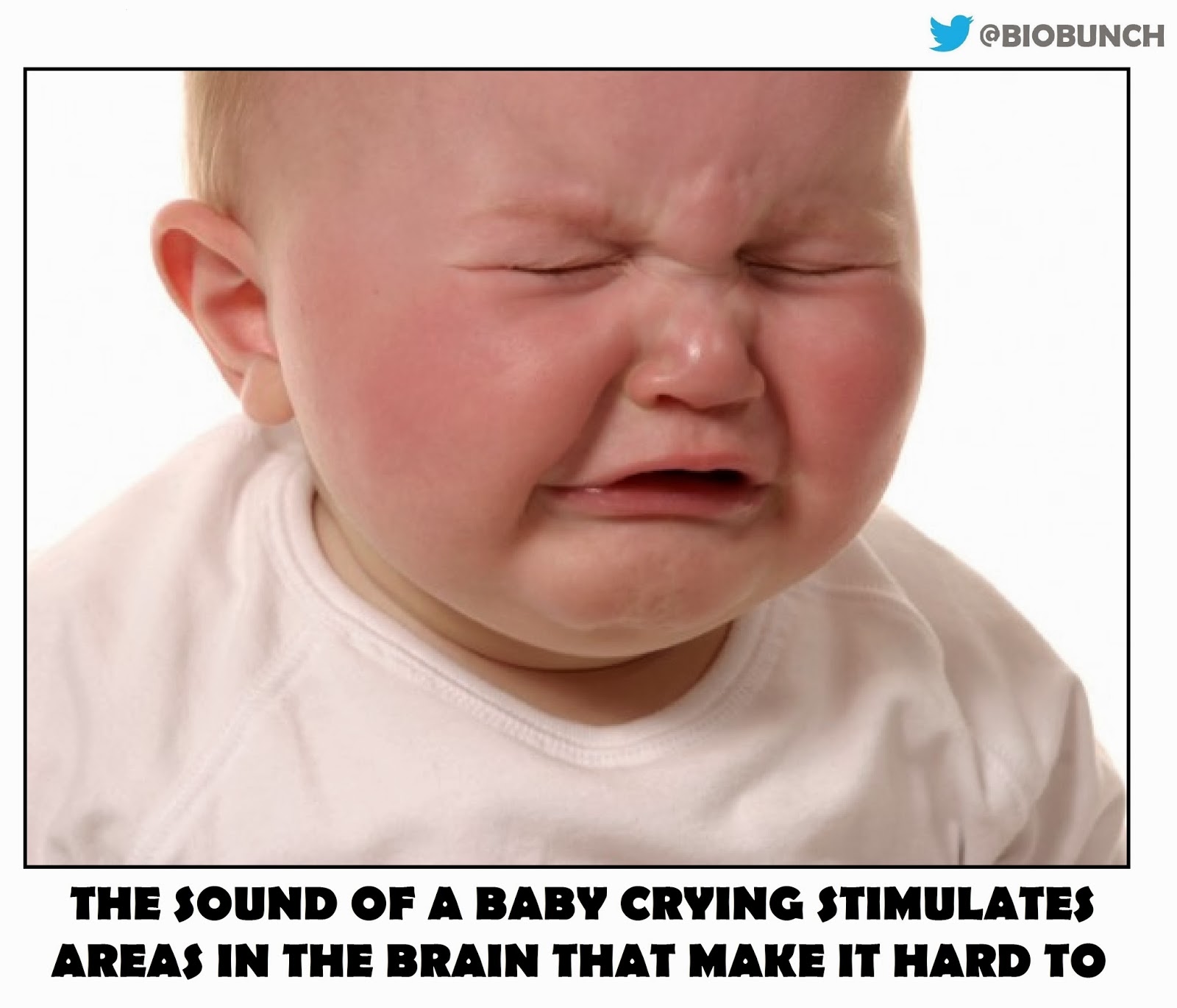 Friday Facts Week 13 Science in the City