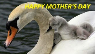 mothers day images