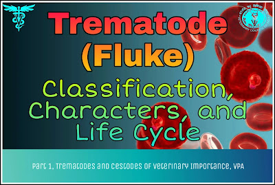 Trematode (Fluke) - Introduction, Classification, Characters and Life cycle