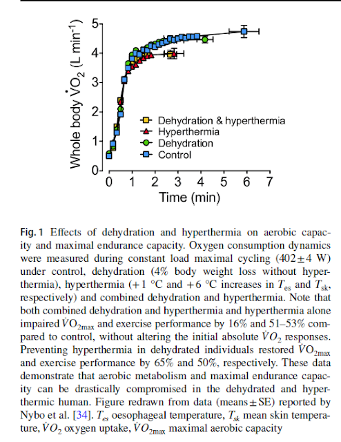 Muscle Oxygen Training: Firstbeat VO2 estimates - exercise in the heat