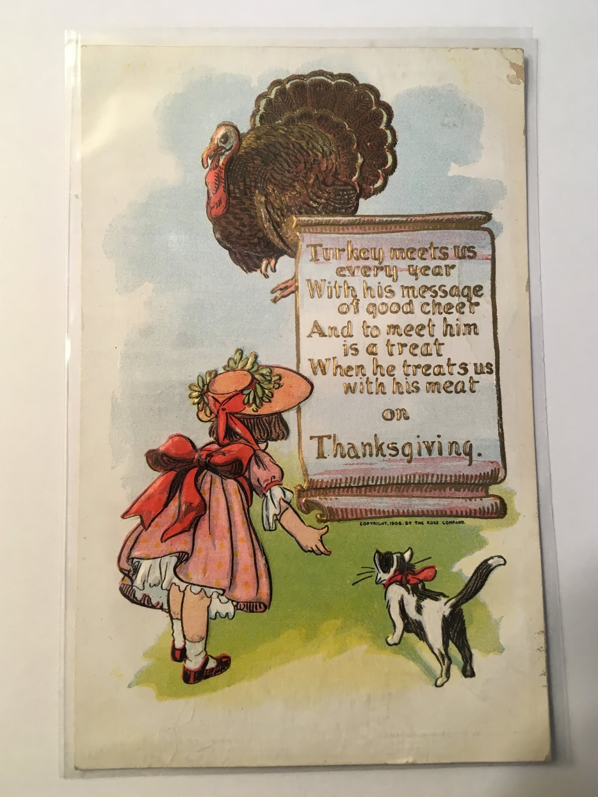 It's all about the cats! Happy Thanksgiving to all