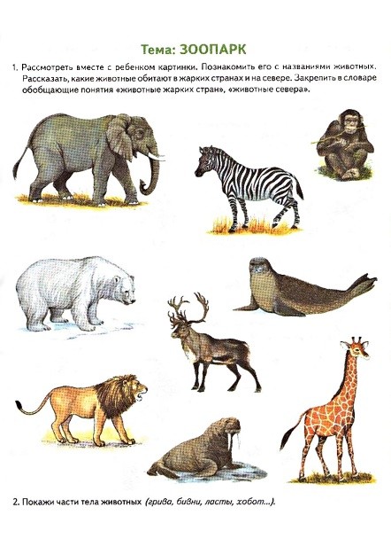 тема недели животные жарких стран. планирование тема недели животные жарких стран. животные жарких стран логопедические задания для дошкольников. лексическая тема животные жарких стран. лексическая тема животные жарких стран.